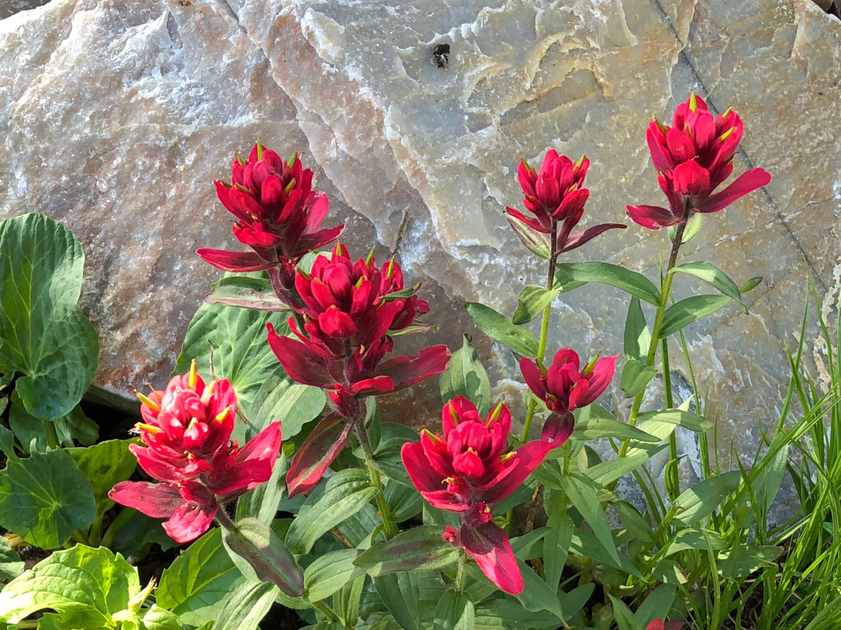 Revealed At A Garden&nbsp;Tomb!