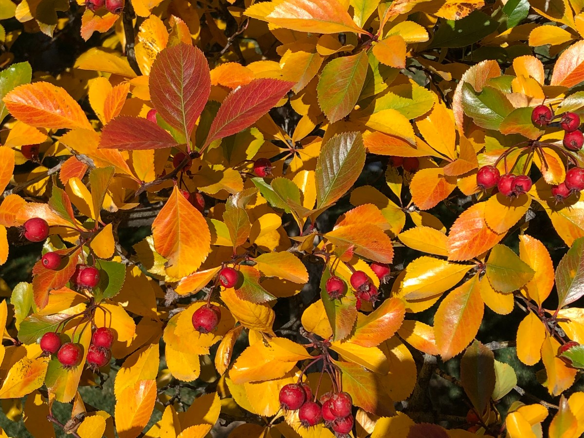 Strive To Strengthen&nbsp;Others!