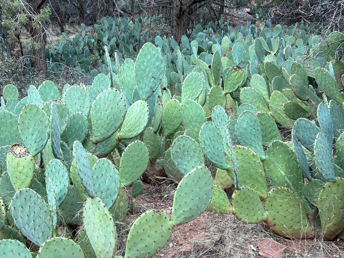 Remember Always In&nbsp;Prayer!