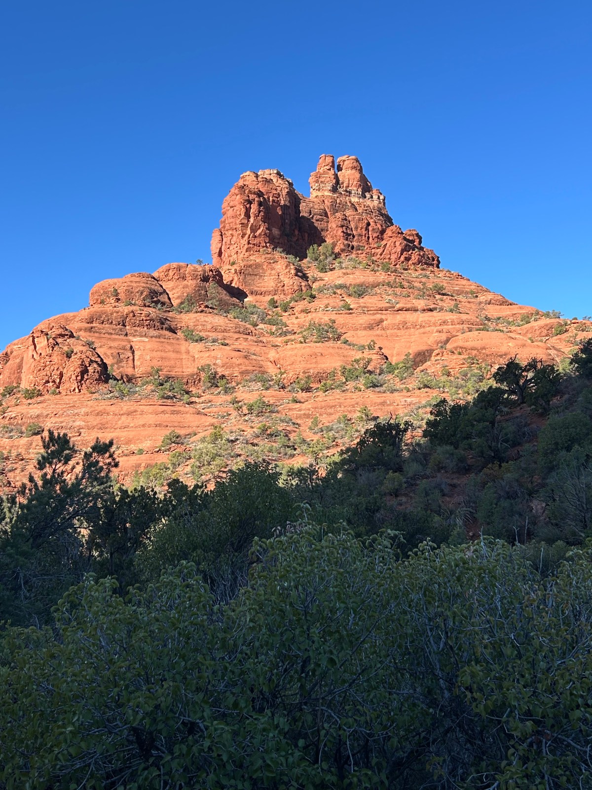 Live Without Vengeance!