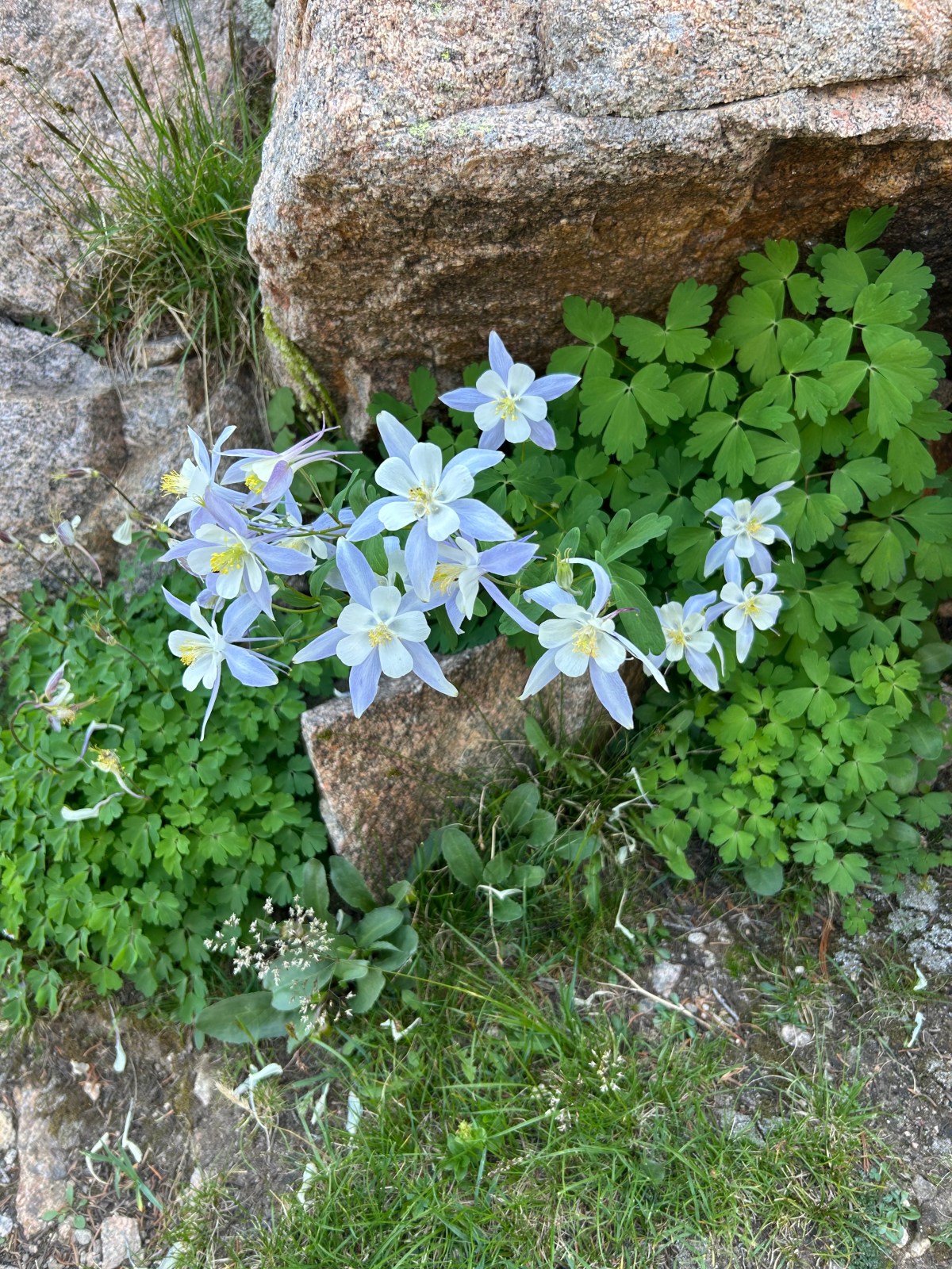 Love; Don’t Give&nbsp;Up!