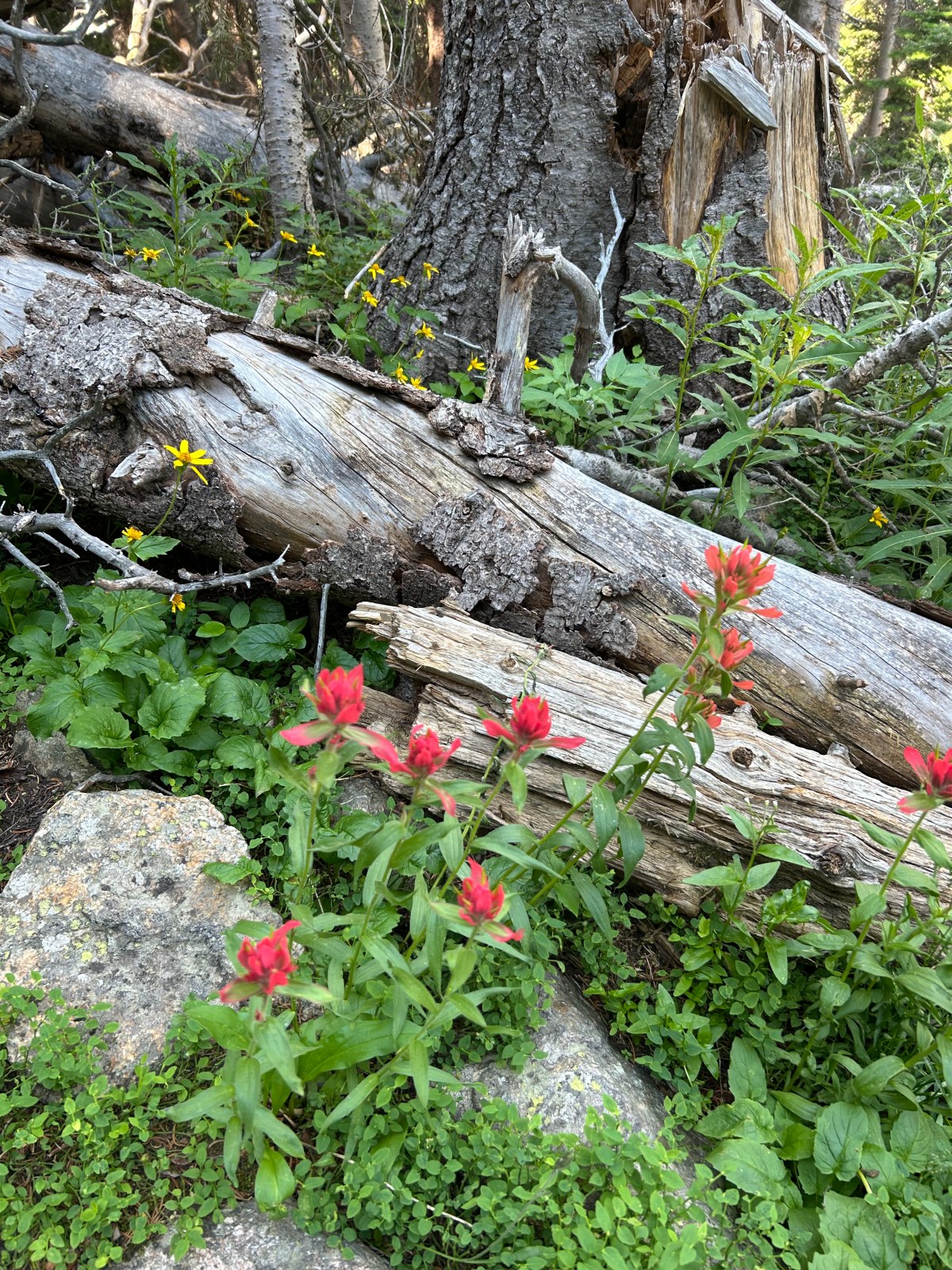 Love; Stay The&nbsp;Course!