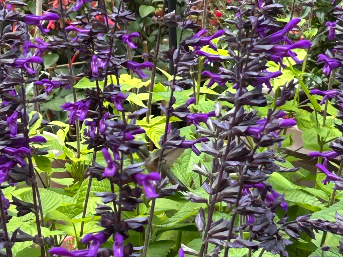 Living In The&nbsp;Gap!