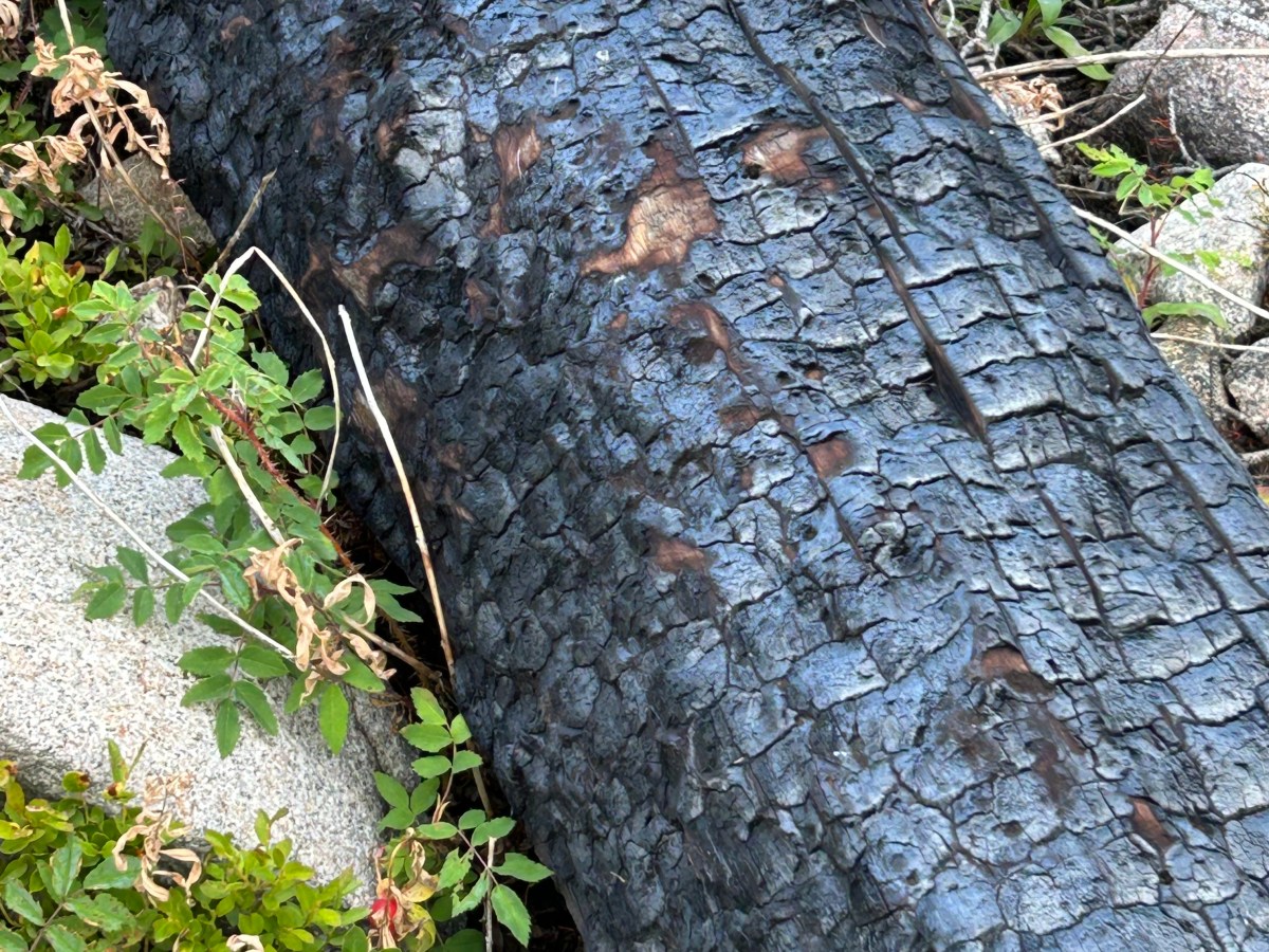 Wickedness Does Not&nbsp;Win!