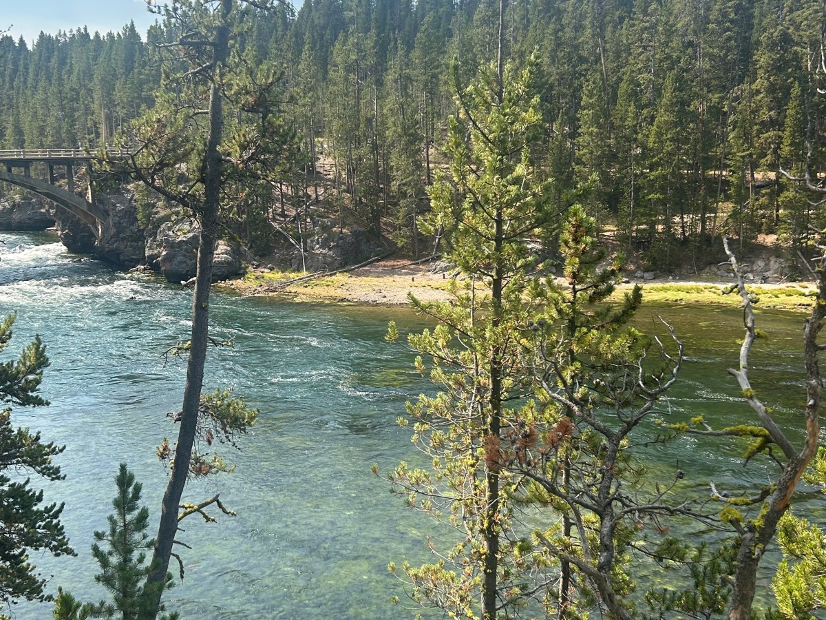 Stay Focused, Forever!