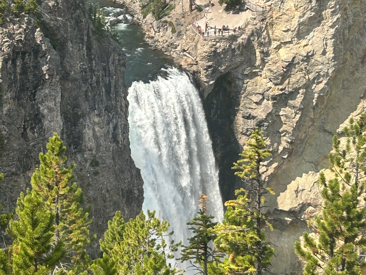 Love; Cries And&nbsp;Celebrates!