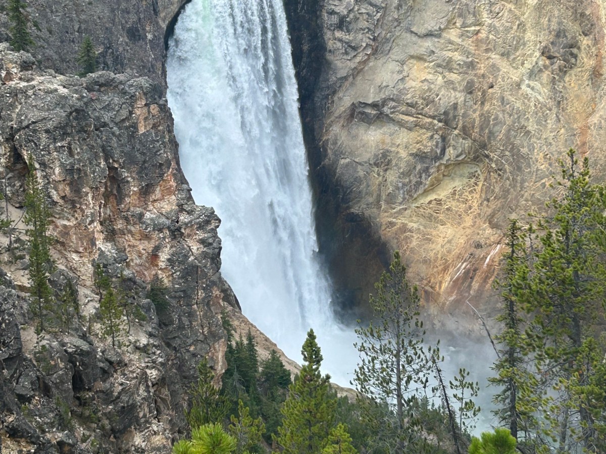 Love; Extend Blessings!