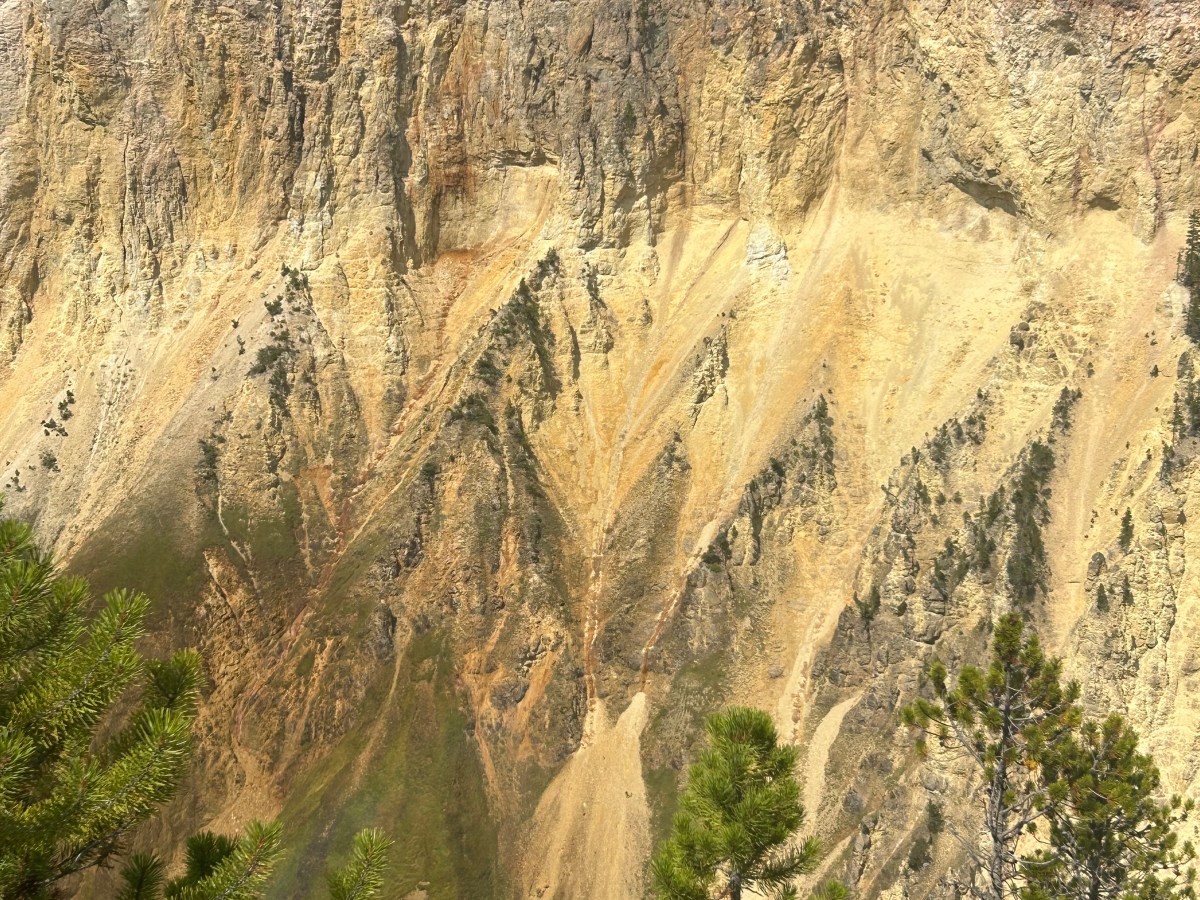 Stay Focused, Again!